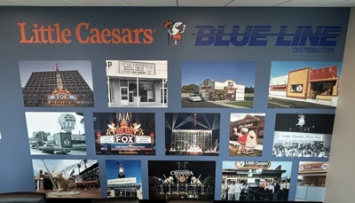 Bluetail Wall Graphics Photo